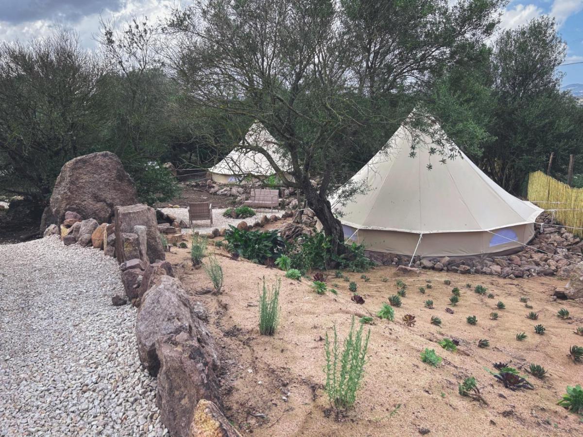 Hotel Pasare Glamping_Anglonaruralexperience Perfugas Exteriér fotografie