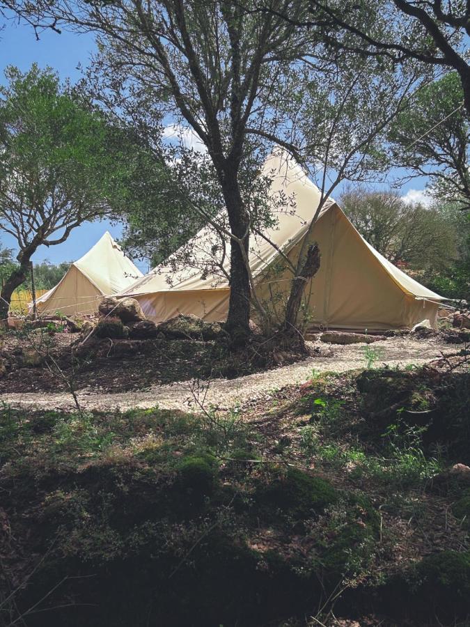 Hotel Pasare Glamping_Anglonaruralexperience Perfugas Exteriér fotografie