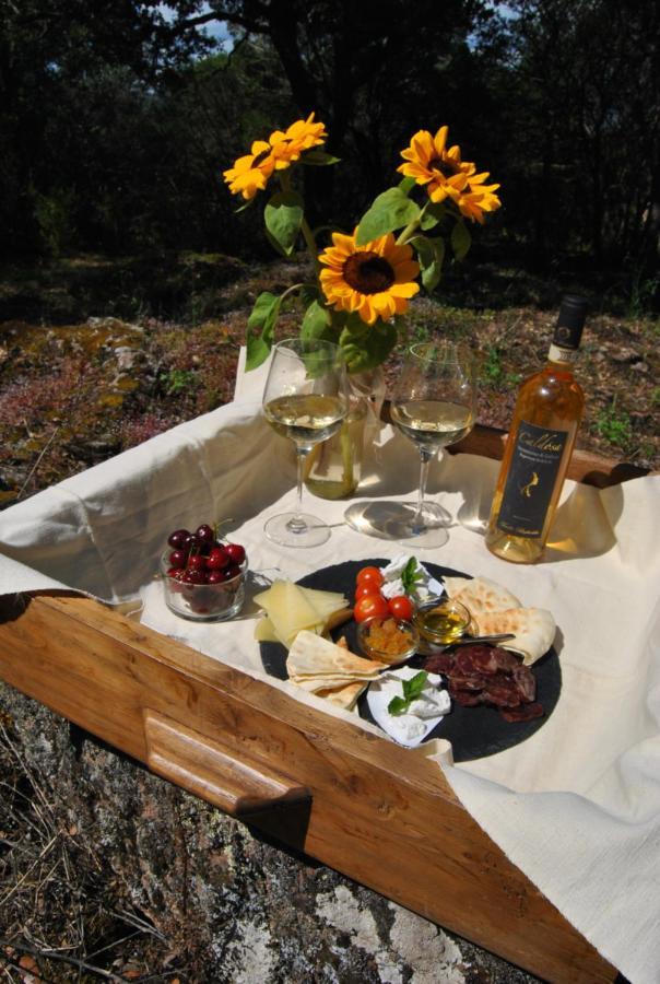 Hotel Pasare Glamping_Anglonaruralexperience Perfugas Exteriér fotografie