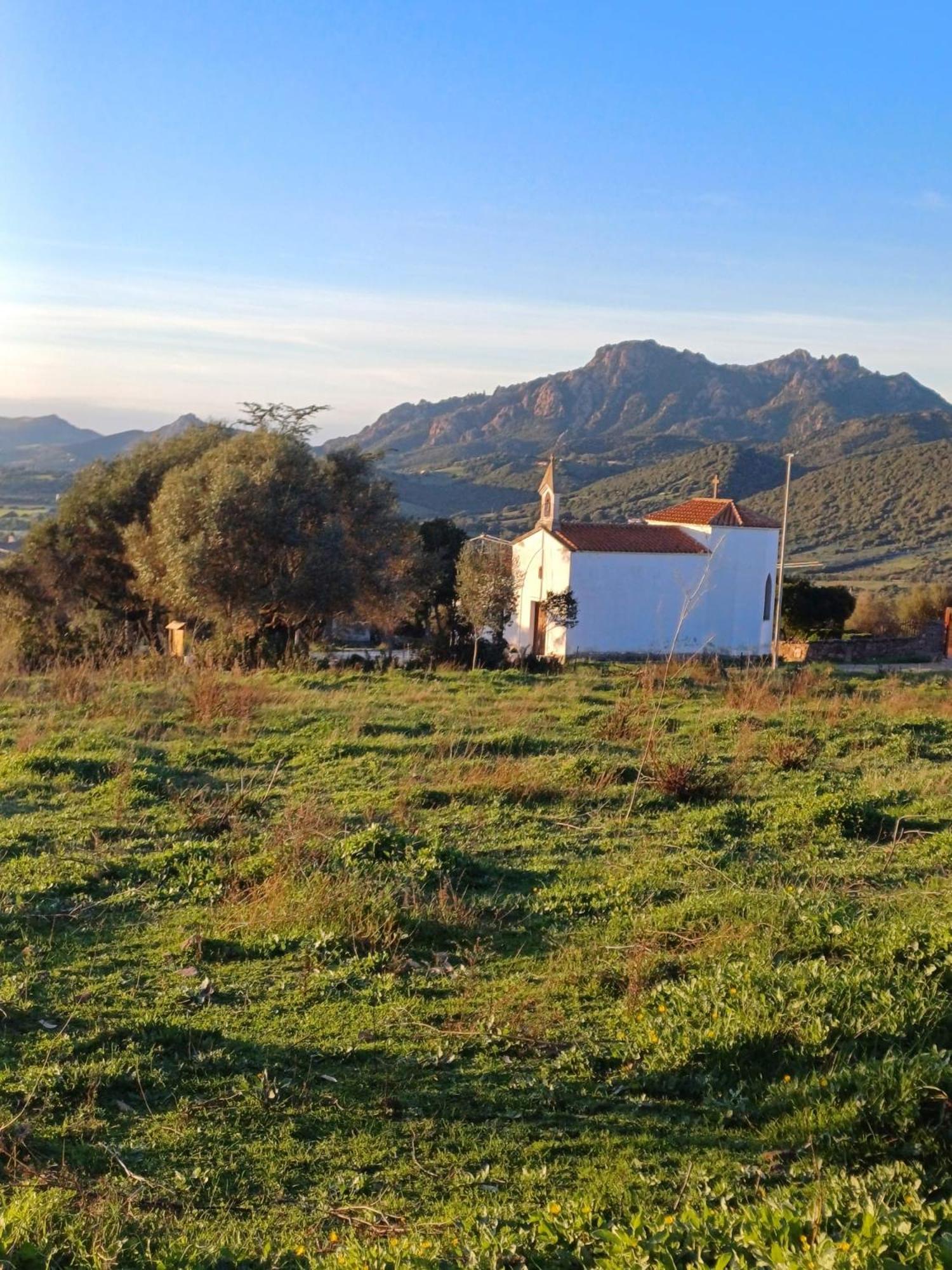 Hotel Pasare Glamping_Anglonaruralexperience Perfugas Exteriér fotografie