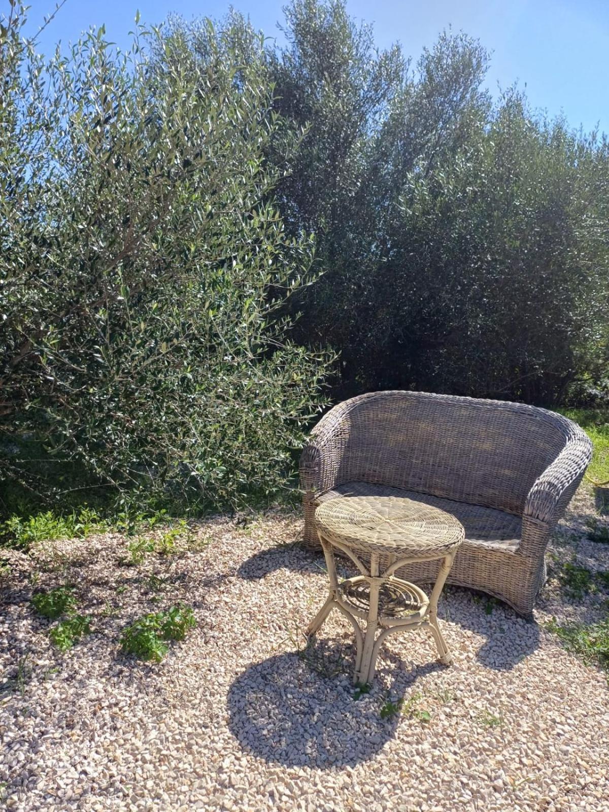 Hotel Pasare Glamping_Anglonaruralexperience Perfugas Exteriér fotografie